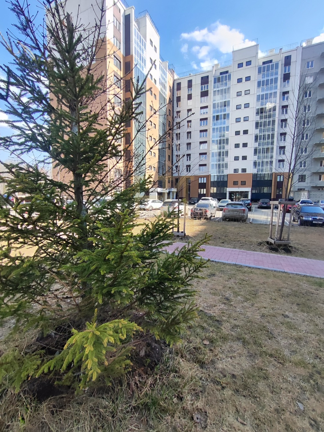  Продаем  ПРОСТОРНУЮ ДВУХКОМНАТНУЮ КВАРТИРУ - 56,07 кв.м. с кухней 16 кв.м. в мкр. ПАРКОВЫЙ 1.

ФУНКЦИОНАЛЬНАЯ ПЛАНИРОВКА:
- Кухня - 16 кв.м.
- Спальни -  17 и 11  кв.м.;
- Раздельный санузел;
- Прихожая - 5,4 кв.м.;
- Лоджия - 5,2 кв.м.

Готовая к проживанию с полной ОТДЕЛКОЙ ПОД КЛЮЧ:
- Входная дв